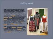 Dzūkijos regionas (skaidrės) 11 puslapis