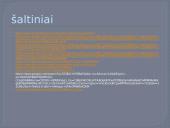 Dzūkijos regionas (skaidrės) 15 puslapis