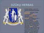 Dzūkijos regionas (skaidrės) 3 puslapis