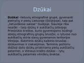 Dzūkijos regionas (skaidrės) 4 puslapis