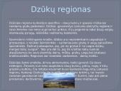 Dzūkijos regionas (skaidrės) 6 puslapis