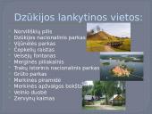 Dzūkijos regionas (skaidrės) 7 puslapis