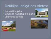 Dzūkijos regionas (skaidrės) 8 puslapis