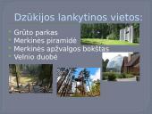 Dzūkijos regionas (skaidrės) 9 puslapis