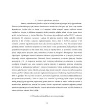 Civilinės teisės principai, jų samprata ir rūšys 12 puslapis