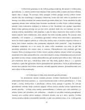 Civilinės teisės principai, jų samprata ir rūšys 13 puslapis