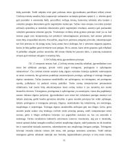 Civilinės teisės principai, jų samprata ir rūšys 14 puslapis