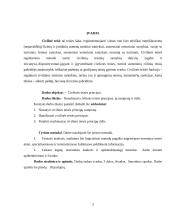 Civilinės teisės principai, jų samprata ir rūšys 2 puslapis