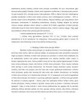 Civilinės teisės principai, jų samprata ir rūšys 4 puslapis