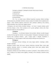 Civilinės teisės principai, jų samprata ir rūšys 5 puslapis