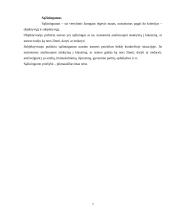 Civilinės teisės principai, jų samprata ir rūšys 6 puslapis