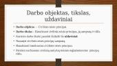Civilinės teisės principai, jų samprata ir rūšys. Skaidrės 3 puslapis