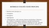 Civilinės teisės principai, jų samprata ir rūšys. Skaidrės 7 puslapis