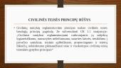 Civilinės teisės principai, jų samprata ir rūšys. Skaidrės 8 puslapis