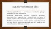 Civilinės teisės principai, jų samprata ir rūšys. Skaidrės 9 puslapis
