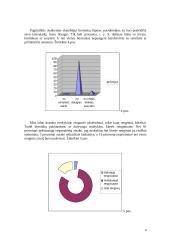 11 – 15 metų berniukų laisvalaikio poreikiai 4 puslapis
