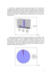 11 – 15 metų berniukų laisvalaikio poreikiai 5 puslapis