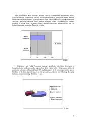 11 – 15 metų berniukų laisvalaikio poreikiai 7 puslapis