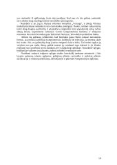 11 – 15 metų berniukų laisvalaikio poreikiai 10 puslapis