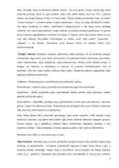 Neverbalinė komunikacija. Referatas 4 puslapis