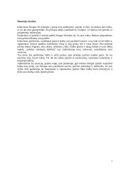 Neverbalinė komunikacija. Referatas 8 puslapis