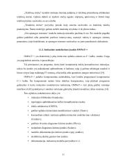 Imitacinio modeliavimo pritaikymas nuotoliniam kompiuterių tinklų mokymui bei žinių patikrinimui 10 puslapis