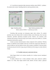 Imitacinio modeliavimo pritaikymas nuotoliniam kompiuterių tinklų mokymui bei žinių patikrinimui 11 puslapis