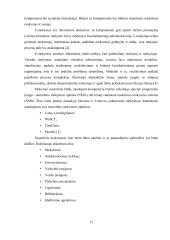 Imitacinio modeliavimo pritaikymas nuotoliniam kompiuterių tinklų mokymui bei žinių patikrinimui 12 puslapis