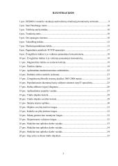 Imitacinio modeliavimo pritaikymas nuotoliniam kompiuterių tinklų mokymui bei žinių patikrinimui 2 puslapis