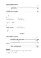 Finansų užduotys 11 puslapis