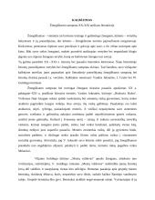 Žmogiškumo samprata XX-XXI amžiaus literatūroje. Kalba su planu