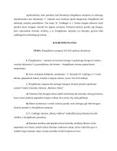 Žmogiškumo samprata XX-XXI amžiaus literatūroje. Kalba su planu 3 puslapis