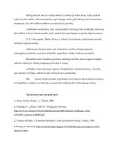 Žmogiškumo samprata XX-XXI amžiaus literatūroje. Kalba su planu 4 puslapis