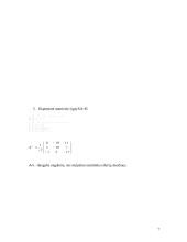 Taikomoji matematika - savarankiškas darbas 7 puslapis