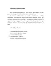 Konfliktinės situacijos analizė ir konflikto sprendimas 3 puslapis