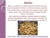 Senovės lietuvių rudens ir žiemos šventės 8 puslapis