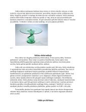 Referatas apie stiklo gamybą ir panaudojimą 10 puslapis