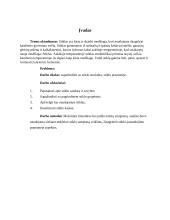 Referatas apie stiklo gamybą ir panaudojimą 3 puslapis