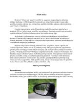 Referatas apie stiklo gamybą ir panaudojimą 7 puslapis