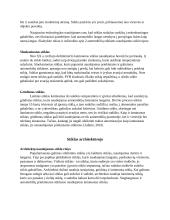 Referatas apie stiklo gamybą ir panaudojimą 8 puslapis