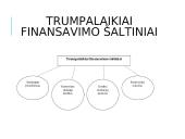 Finansai ir jų sistema 14 puslapis