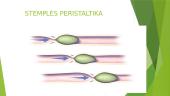 Stemplė, skrandis 6 puslapis