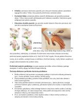 Periferiniai kateteriai 12 puslapis