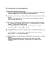 Filosofijos įvadas. Konspektas 16 puslapis
