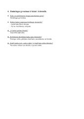 Filosofijos įvadas. Konspektas 4 puslapis