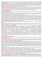 Išsamus civilinės teisės pasiruošimas 13 puslapis