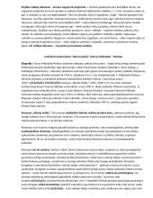 Lietuvių kalbos ir literatūros programinių autorių konspektas egzaminui 2 puslapis