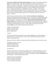 Lietuvių kalbos ir literatūros programinių autorių konspektas egzaminui 11 puslapis