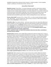 Lietuvių kalbos ir literatūros programinių autorių konspektas egzaminui 13 puslapis