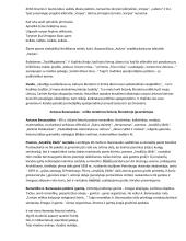 Lietuvių kalbos ir literatūros programinių autorių konspektas egzaminui 17 puslapis